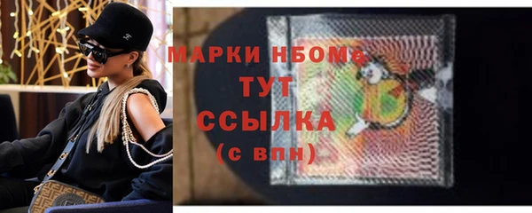 хмурый Арсеньев