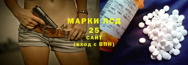 ешки Аркадак