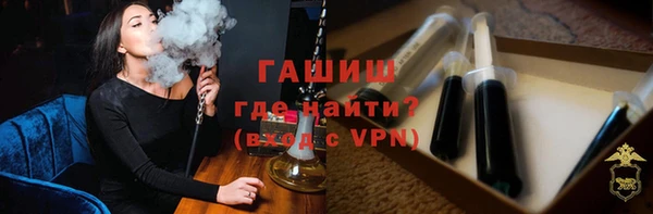 хмурый Арсеньев