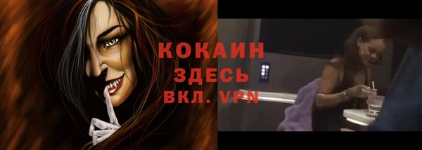 хмурый Арсеньев