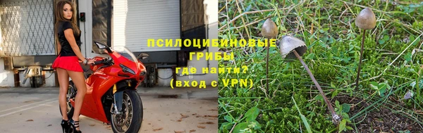 ешки Аркадак