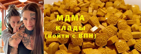 хмурый Арсеньев
