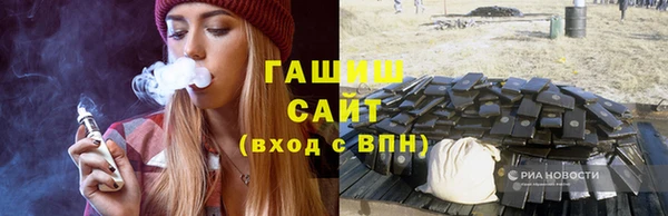 хмурый Арсеньев