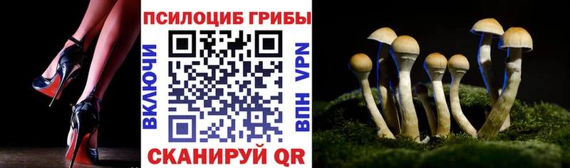 Галлюциногенные грибы мухоморы  что такое наркотик  Тавда 